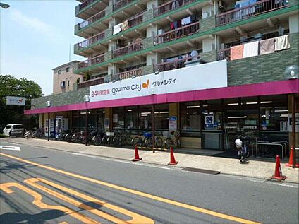 グルメシティ武蔵境店 約700ｍ(徒歩約9分)