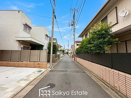 前面道路を含む現地写真