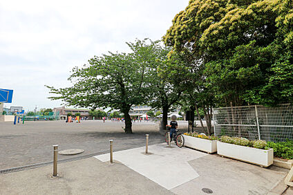 府中市立小柳小学校 約1100ｍ(徒歩約14分)