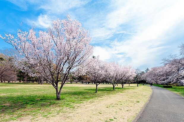野川公園