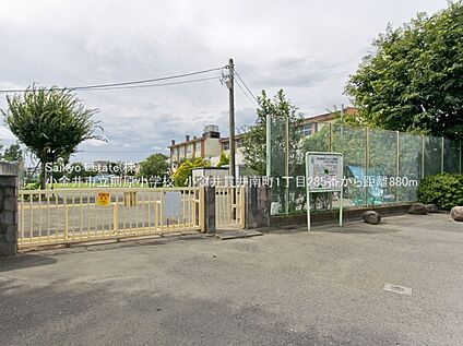 小金井市立前原小学校 約810ｍ(徒歩約11分)