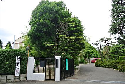 関町白百合幼稚園 約542ｍ(徒歩約7分)