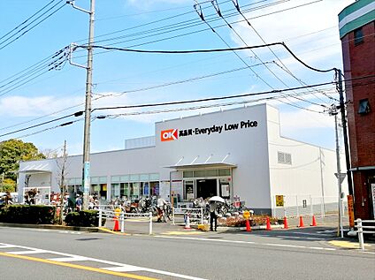 オーケー西国分寺店 約861ｍ(徒歩約11分)