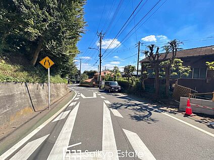 前面道路を含む現地写真