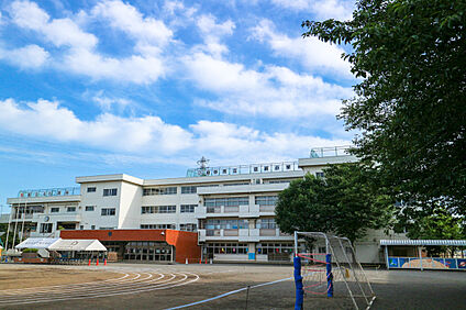 府中市立日新小学校 約480ｍ(徒歩約6分)