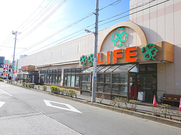 ライフ中野新井店(約750m)