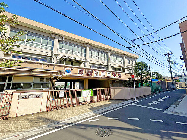 練馬区立練馬第二小学校(約700m)