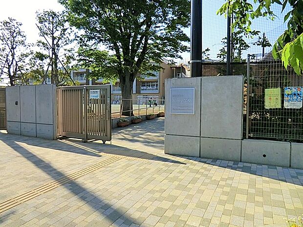 世田谷区立給田小学校（約1m）