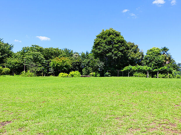 牟礼の里公園（約850m）