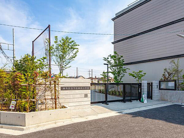 練馬区立下石神井小学校（約250m）