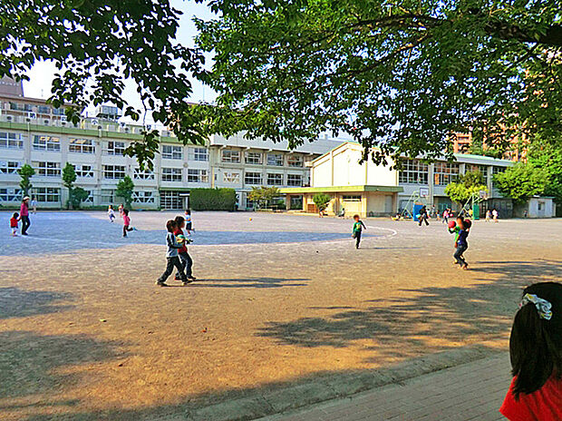 板橋区立志村第四小学校(約360m)