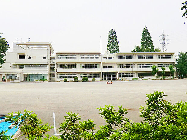 西東京市立柳沢小学校（約450m）
