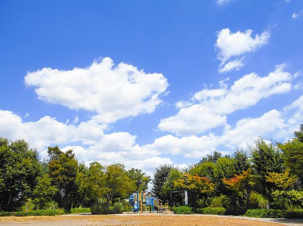 西東京市立あらやしき公園（約900m）