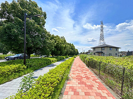 【前面道路】