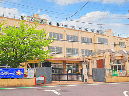 足立区立花畑第一小学校 480ｍ(徒歩6分)