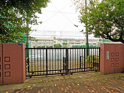 板橋区立桜川中学校 700ｍ(徒歩9分)