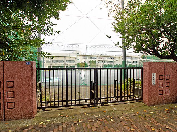板橋区立桜川中学校（約700m）