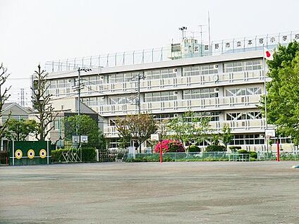 武蔵野市立本宿小学校 900m(徒歩12分)