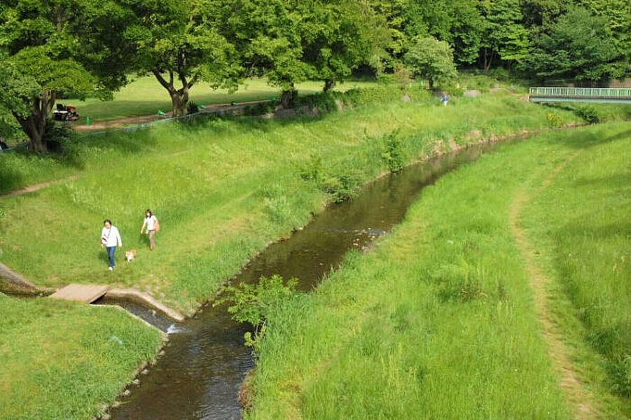 【その他】野川緑地公園