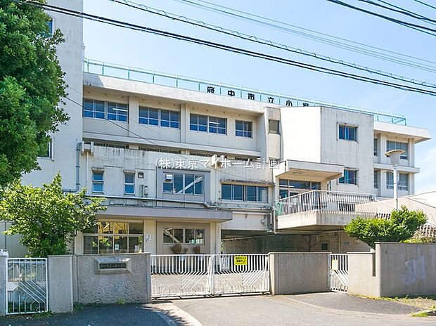 府中市立小柳小学校（約550m）