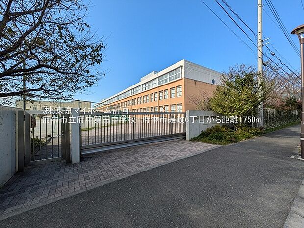 府中市立府中第三中学校(約700m)