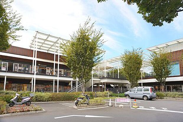 若葉ケヤキモール（約1,460m）