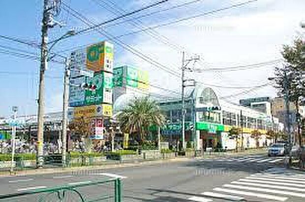 サミットストア石神井台店(約460m)