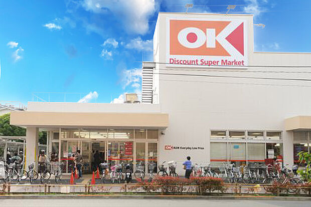 オーケー小金井店(約700m)