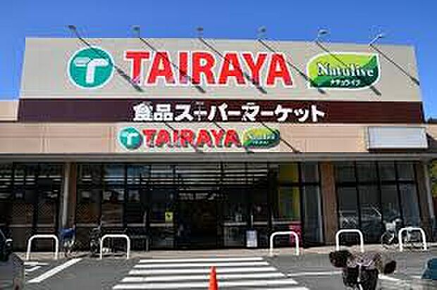 TAIRAYA小平店(約2,500m)