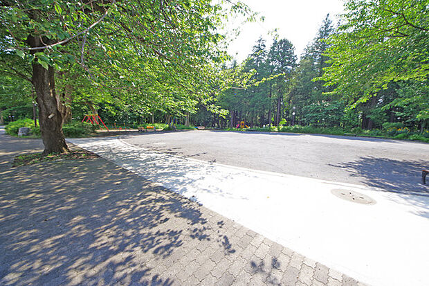 南台こどもの森公園(約1,400m・徒歩18分)