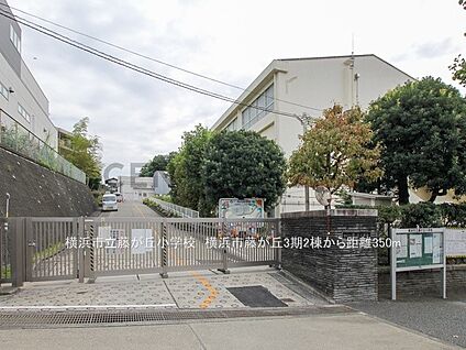 横浜市立藤が丘小学校 350m(5分)