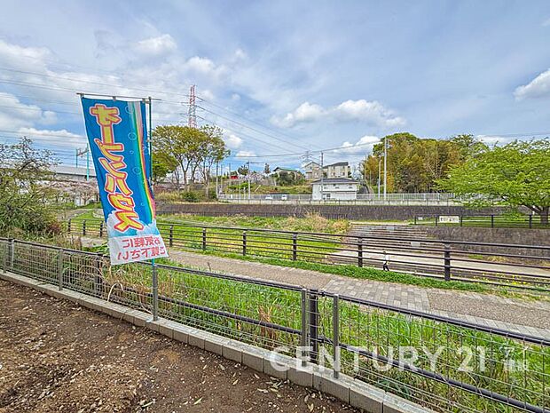 【現地からの眺望写真】緑道に面した雰囲気のイイ分譲地。