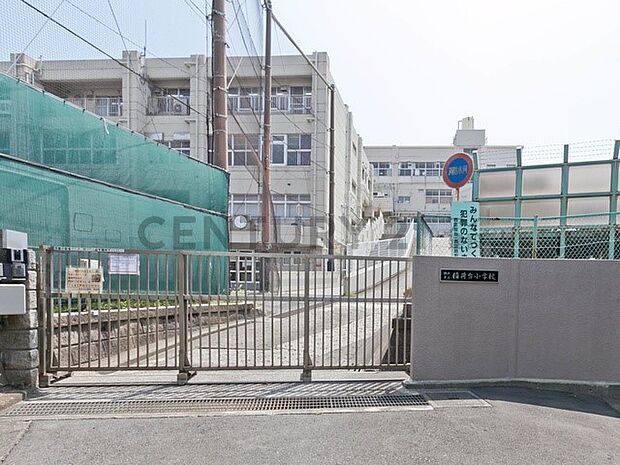 横浜市立稲荷台小学校(約750m)