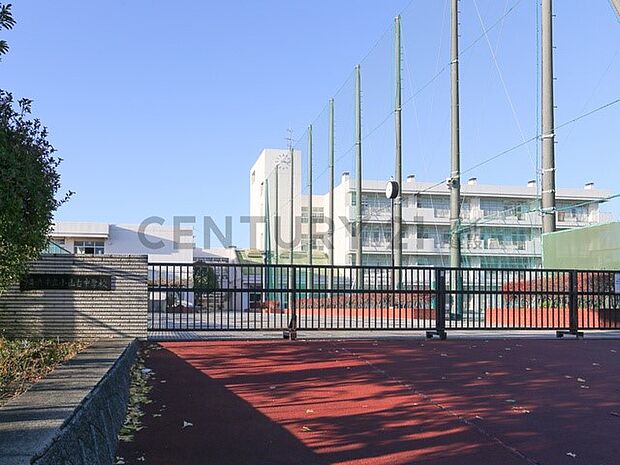 横浜市立小山台中学校（約740m）