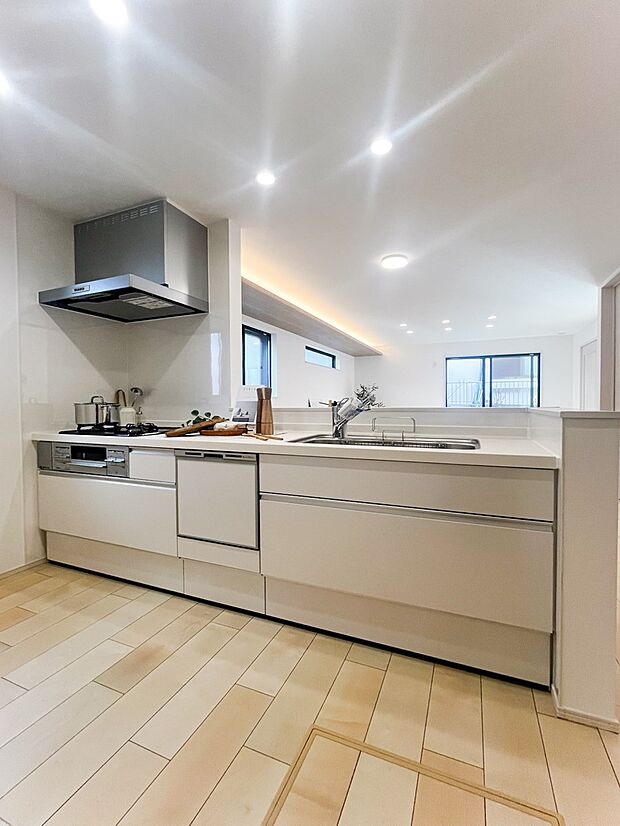 【浄水機能付き水栓】お米を研いだり、野菜を洗ったりするときなど用途に応じてワンタッチで浄水に切り替えが可能です。カートリッジ式なので、フィルターを簡単に交換する事が出来ます。