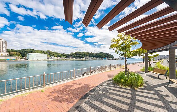 浦賀港西岸遊歩道（約600m）