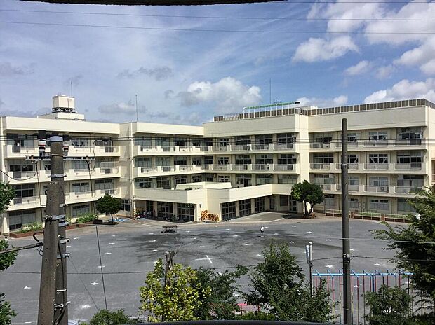 瀬戸ヶ谷小学校（約230m）