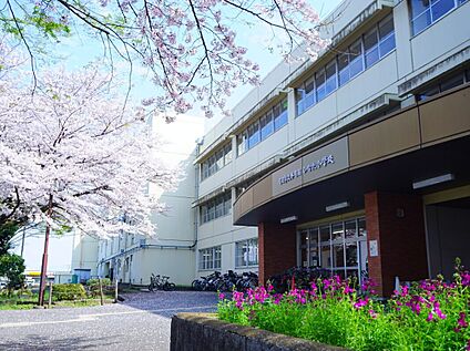 町田市立本町田ひなた小学校 1150ｍ(徒歩15分)