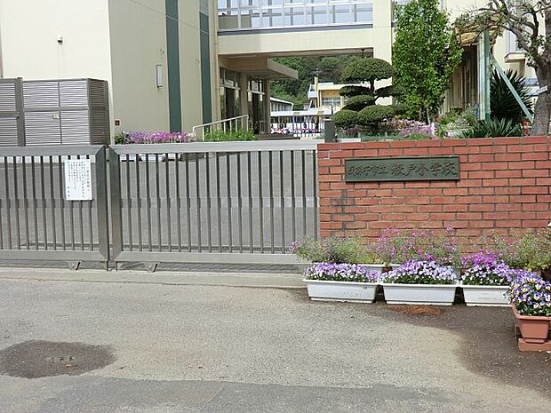 我孫子市立根戸小学校（約750m）