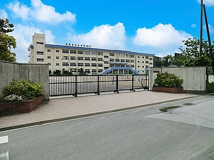 市川市立下貝塚中学校 700m