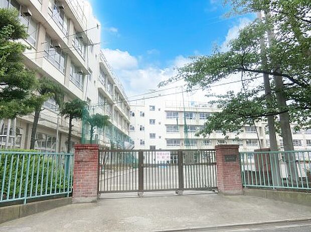 葛飾区立双葉中学校(約230m)