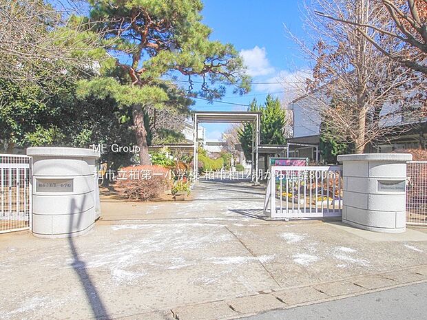 柏市立柏第一小学校(約800m)