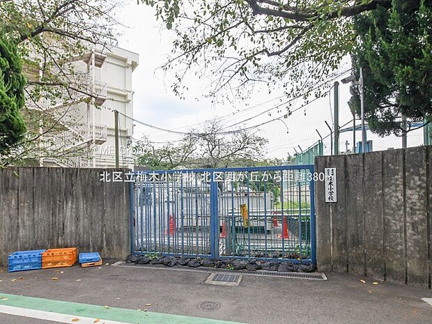 北区立梅木小学校（約380m・徒歩5分）