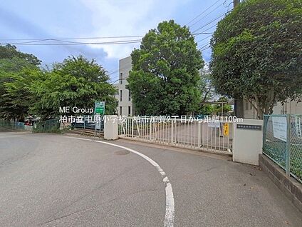 柏市立中原小学校 1100m