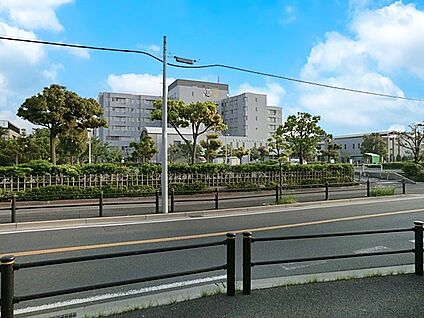 東京歯科大学市川総合病院 1400m(18分)