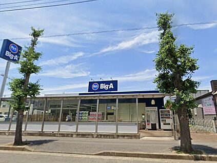 ビッグエー 我孫子湖北台店 1100m(14分)