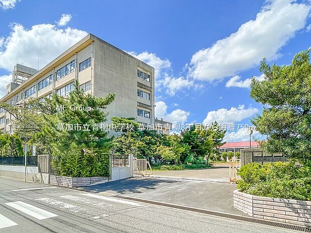 草加市立青柳中学校(約750m)
