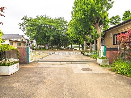 柏市立豊小学校 130m(2分)