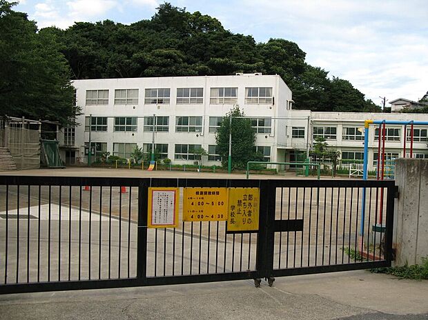 豊島小学校（約500m）