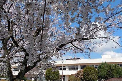 つくば市立島名小学校 約2,000m(徒歩約25分)